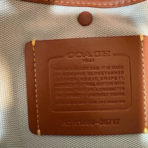 Coach Mason Carryall in Cadet Blue • Snakeskin Trim • Structured Tote • No Strap - Picture 11 of 15